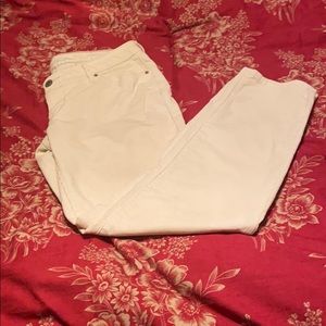 Eddie Bauer Boyfriend Slim Cream Corduroy Pant 10